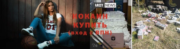 дживик Аркадак