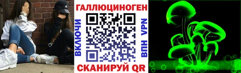 darknet как зайти  Губкинский  Псилоцибиновые грибы мухоморы  магазин продажи  